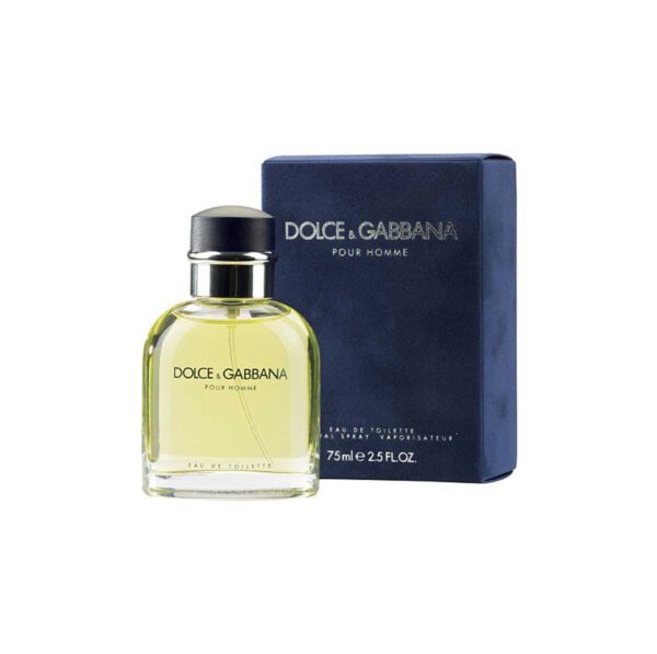 Dolce&gabbana Pour Homme2