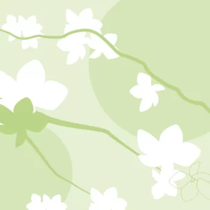 Alternative view of Кай Жасмин Аромат