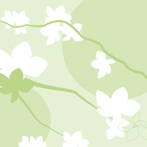 Кай Жасмин Аромат — изображение 2