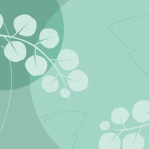 Alternative view of Аромат эвкалипта и мяты