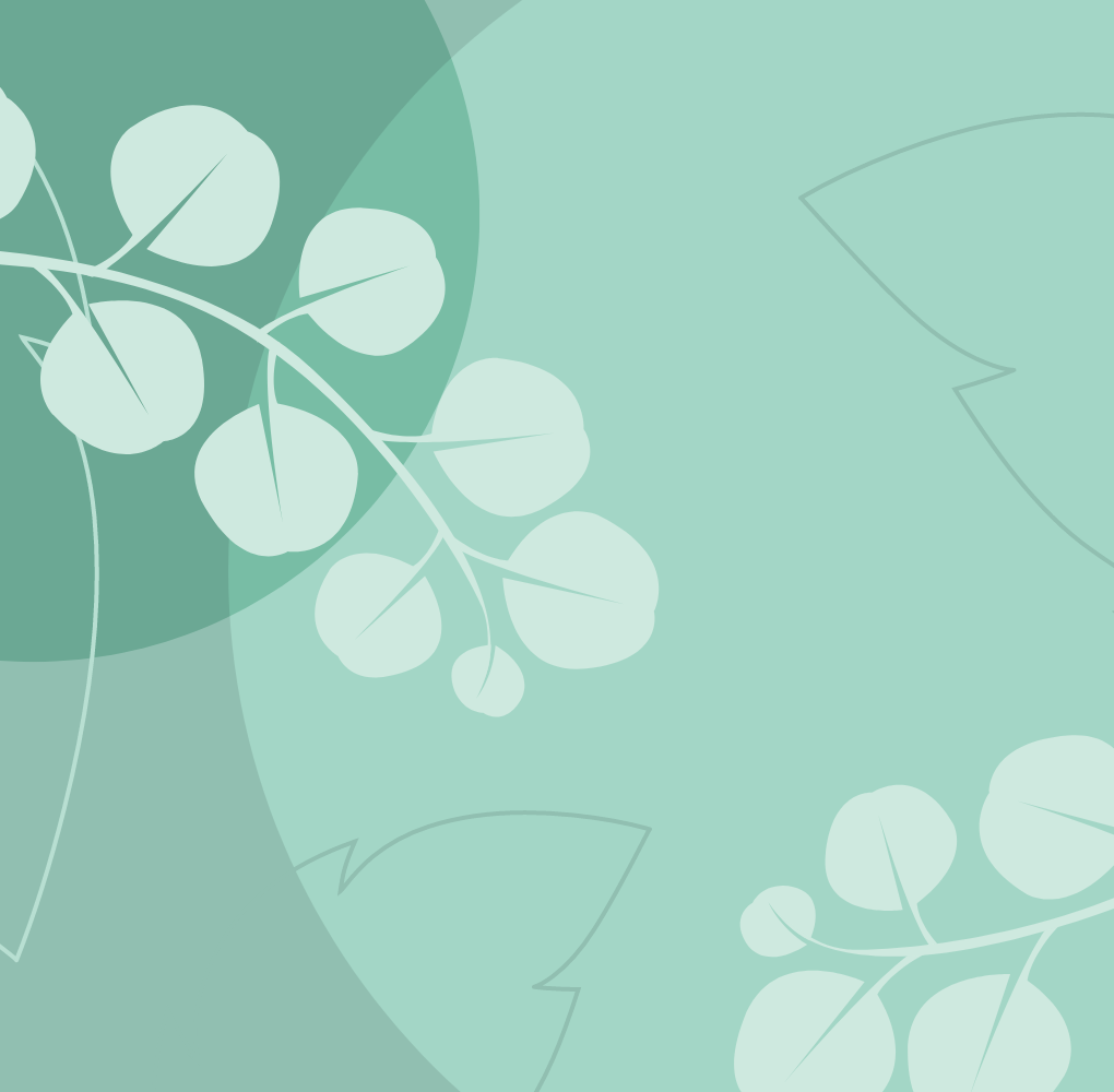 Аромат эвкалипта и мяты — изображение 2