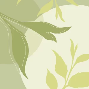 Green Tea & Lemongrass Scent